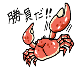 6065680