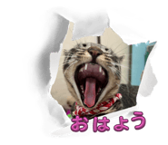 606588000
