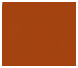 606602585