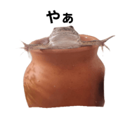 606635239