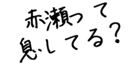 606637164