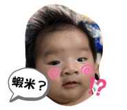 606651807