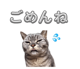 606681425