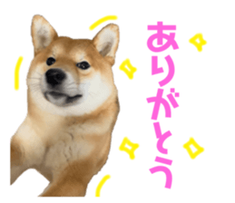 606681736