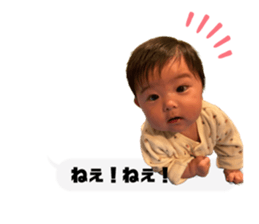 606688026