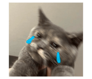 606714196