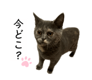 606714198