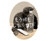 606714201