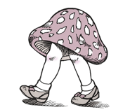 6067173