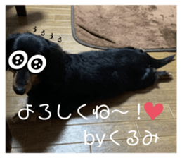 606725230