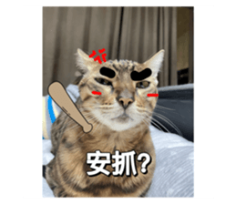 606740999