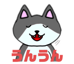 606741930