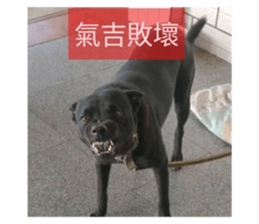 606759327