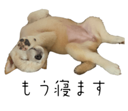 606773512