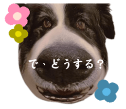 606798035