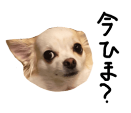 606865597