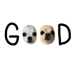 606865599