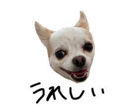 606865603