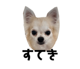 606865604