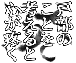 606882355