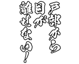 606882371