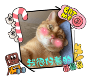 606890296