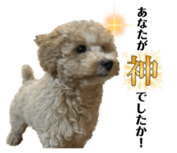 606915028