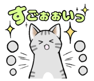 606936255