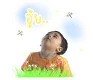 606946116