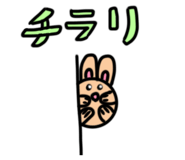 606967293