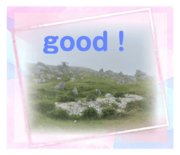 606967384