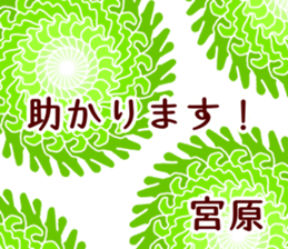 60704925