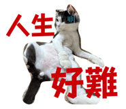 607059025
