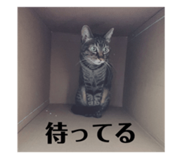 607117319