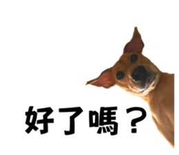 607136987