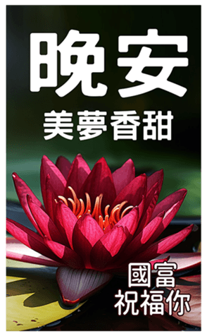 607146442