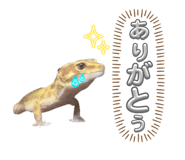 607152319