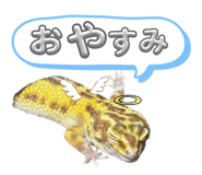 607152320