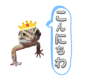 607152323