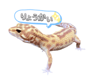 607152331