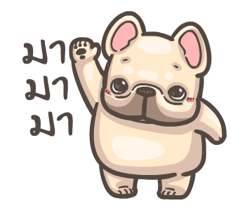 พิกุ - เฟรนช์ บูลด็อก 4 รูปที่ 10