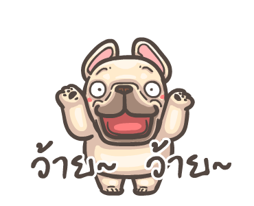 พิกุ - เฟรนช์ บูลด็อก 4 รูปที่ 14