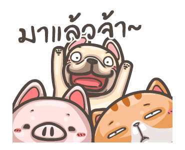 พิกุ - เฟรนช์ บูลด็อก 4 รูปที่ 22