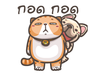 พิกุ - เฟรนช์ บูลด็อก 4 รูปที่ 24