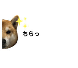 607175881