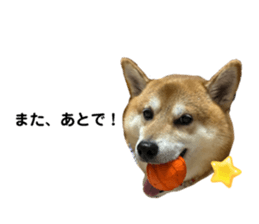 607175885