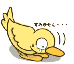 6072156