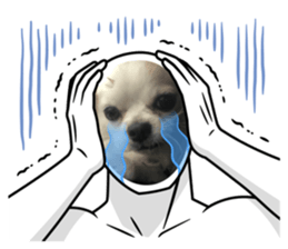 607234004