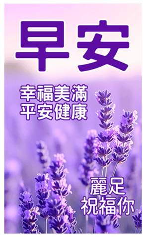 607240335