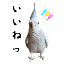 607297882